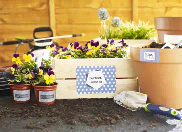 Avery | Marcas de Papelería