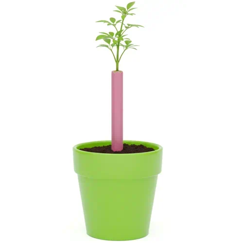 lapiz plantado y germinando de papeleris | lápices