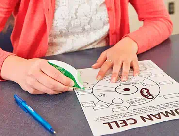 paper mate | Marcas de Papelería